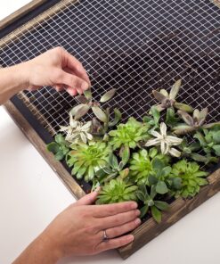 Garden Zone 100515944 36 inches x 50 feet 19-Gauge Galvanized Hardware Cloth Foot 36" x 50' 1/2-Inch Openings 9 91GfKShnFFL