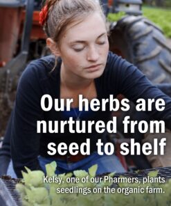 Herb Pharm Certified Organic Goldenseal Liquid Extract for Respiratory System Support, Organic Cane Alcohol, 1 Ounce 1 Fl Oz (Pack of 1) 22 91Gfe4wo9ML 1