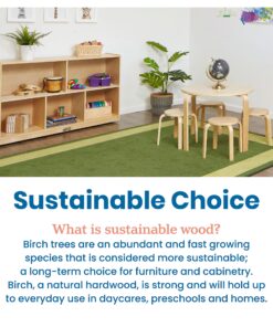 ECR4Kids 5-Compartment Mobile Storage Cabinet, 30in, Classroom Furniture, Natural Classic 32 91H1TQdi2zL