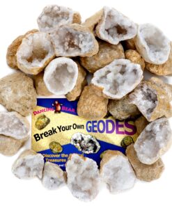 DANCING BEAR 25 Break Your Own Geodes, (Medium 1-1.5") 90% Hollow, Crack Open & Discover Amazing Surprise Crystals Inside! Educational Info and Instructions Included, Fun Party Favors & Prizes Medium (1-1.5") 25 91H20tmTk3L