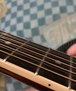 D'Addario Guitar Strings - Phosphor Bronze Acoustic Guitar Strings - EJ38 - Rich, Full Tonal Spectrum - For 12 String Guitars - 10-47 Light 12-String Light, 12-String, 10-47 1-Pack 12 91H4TNscLWL