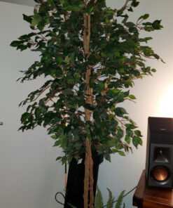 Nearly Natural 7ft. Ficus Artificial Tree, Green 84 in Trees 38 91HNLjoLdAL