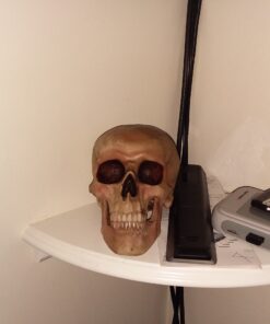 Grinning Highly Realistic Replica Human Skull Statue Home Décor 6.5x4.25x4.6" 46 91HXc1oAODL