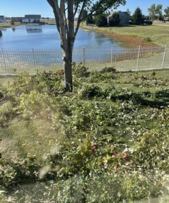 Fiskars 7.9'-12' Extendable Tree Pruning Stik Pruner - Rotating Sharp Precision-Ground Steel Blade for Cutting up to 1.25" Diameter Pruning Stick Extenable 7.9'-12' 40 91HYkGI9DrL