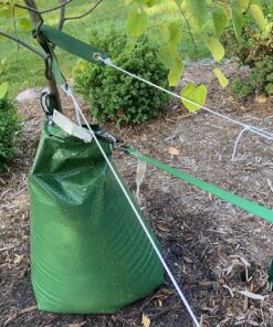 Treegator Original Slow Release Watering Bag for Trees, 1 Bag 24 91Hs6L 0lPL