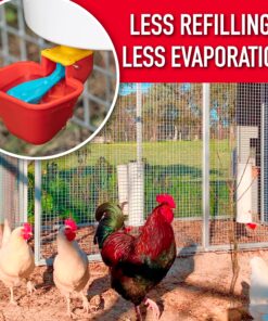 Royal Rooster Chicken Feeder and Chicken Waterer Set - 7 lb Poultry Chicken Feeder with Rain Cover and 1 Gallon Waterer System - Chicken Coop Accessories: Valve-Cup Waterer and Gravity-Feed Feeder Set 1-Cup Waterer 16 91I1bsEoKaL