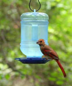 Perky-Pet 780 Outdoor Hanging Water Cooler Bird Waterer and Dispenser,Blue, 1.5 Qt Capacity 31 91IL6sQNSdL