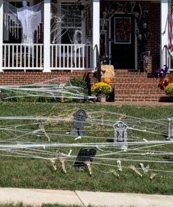 Fun World Costumes Spider Web Decoration Standard 26 91IRxcgsenL