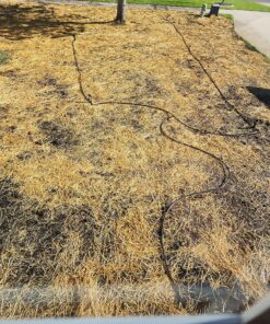 Rain Bird 32ETI Easy to Install In-Ground Automatic Sprinkler System Kit Automatic Sprinkler System Kit w/ Timer 31 91ITR1EPXFL