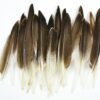 Touch of Nature 22-Piece Duck Wing Quills for Arts and Crafts, 8-Inch, Natural/Grey 1 39 91IuGSXShVL