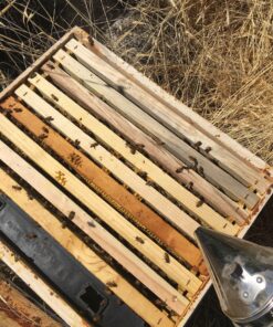 Alternative view of Harvest Lane Honey FEEDIH-102 in Hive Feeder, 1 Count