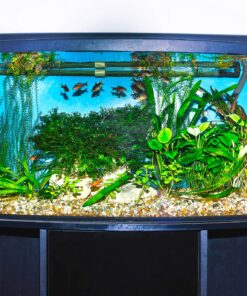 Gulfstream Tropical AGU030SM Mag-Float Glass Aquarium Cleaner, Small 17 91J2NDF068L