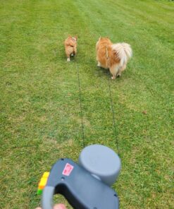 WIGZI (2 Two Dog Reflective Retractable Pet Leash – 360 Degree Zero Tangle Patent - Two Dogs Each up to 50 lbs and 10ft. Reflective Orange and Green Leads. Dual Locking, Small, Gray 29 91J8mqvweL