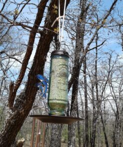 More Birds Songbird Vintage Bird Feeder, Sunflower and Thistle Feeder, 4 Feeding Ports, 1.5 lb Seed Capacity Vintage Glass 29 91J9VxhpxnL