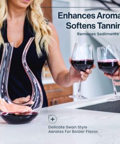 HiCoup Red Wine Decanter with Aerator - 750mL Crystal Glass Wine Carafe and Purifier for Home Bar 22 91JRyF16AJL