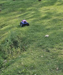 Ruko 1601AMP3 Amphibious RC Truck for Girls, IPX6 Warterproof Monster Truck, 1:10 Large Remote Control Car for All Terrain, 2 Rechargeable Batteries for 50 Min Fun Time, Gifts for Kids Pink 26 91JWedCOitL