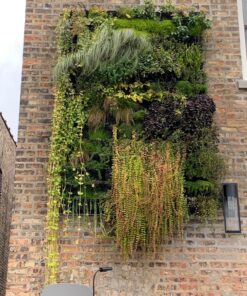 VIVOSUN S558 5x5 Grow Tent, 60"x60"x80" High Reflective Mylar with Observation Window and Floor Tray for Hydroponics Indoor Plant for VSF6450 60"x60"x80" Black 50 91JYqDCKLFL