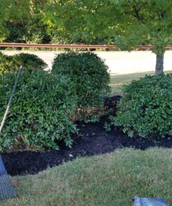 Toro 51619 Ultra Electric Blower Vac, 250 mph, Red 250 mph Blower/ Vac 45 91JbXmoUCL