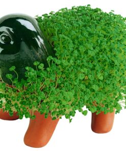 Chia Pet Puppy with Seed Pack, Decorative Pottery Planter, Easy to Do and Fun to Grow, Novelty Gift, Perfect for Any Occasion 6 91Jc8I YQGL