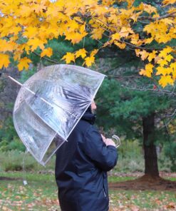 Totes Signature Clear Bubble, Rain & Windproof Umbrella - Perfect for Weddings, Travel and Outdoor Events - Curved Handle with Deluxe Finish, in Transparent or Colorful Design Options 22 91JgqL2F5oL 2