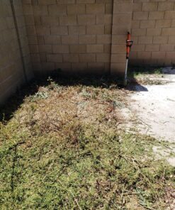 BLACK+DECKER 20V MAX Cordless String Trimmer, 2 in 1 Trimmer and Edger, 12 Inch, Battery Included (LST300) 20V String Trimmer Kit 38 91JjkPd3NSL