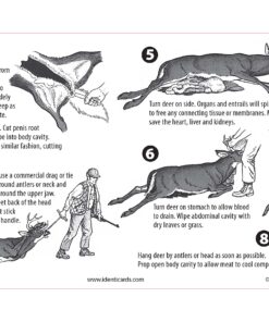 Alternative view of Ident-I-Cards PAK-IT Guide to Field Dressing a Deer