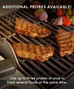 Chef iQ Smart Thermometer Add-on Probe No. 2, Bluetooth/WiFi Enabled, Allows Monitoring of Two Foods at Once, for Grill, Oven, Smoker, Air Fryer, Stove, Must Be Used with Smart Hub (Sold Separately) Add-on Probe # 2 17 91JrCpDX85L