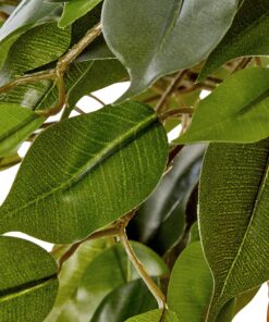 Nearly Natural 5383 3ft. Ficus Tree UV Resistant (Indoor/Outdoor),Green,Small 16 91JzKHGBIMS