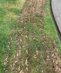 Yard Butler ID-6C Manual Lawn Coring Aerator - Grass Dethatching Turf Plug Core Aeration Tool - Grass Aerators for Small Yards - Loosen Compacted Soil - Gardening Hand Tools - Gray, 37 Inches 48 91KKGC7JIL