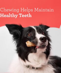 DreamBone Small Chews, Treat Your Dog to a Chew Made with Real Meat and Vegetables 17 91KQx5K1hL