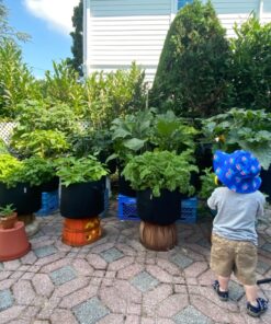 VIVOSUN 5-Pack 10 Gallon Plant Grow Bags, Heavy Duty Thickened Nonwoven Fabric Pots with Handles Black 10 Gallons 61 91KRWcRDEQL