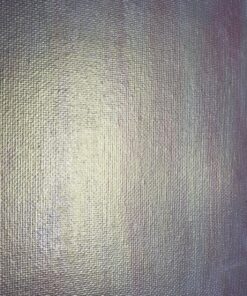 Liquitex Professional Effects Medium, 237ml (8-oz), Iridescent Medium 8-oz 27 91KRh6zV7L