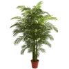 Nearly Natural 5390 Areca Palm UV Resistant Tree, 6.5-Feet, Green,85" x 9" x 9" 85" x 9" x 9" 32 91KSCCxRpDL