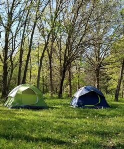 Coleman Sundome Camping Tent, 2/3/4/6 Person Dome Tent with Snag-Free Poles for Easy Setup in Under 10 Mins, Included Rainfly Blocks Wind & Rain, Tent for Camping, Festivals, Backyard, Sleepovers Palm Green 3 Person 49 91KT0dI2tCL 1