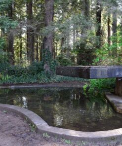 Nikon D3300 DX-format DSLR Kit w/ 18-55mm DX VR II & 55-200mm DX VR II Zoom Lenses and Case (Black) 55 91KUhX5jOWL