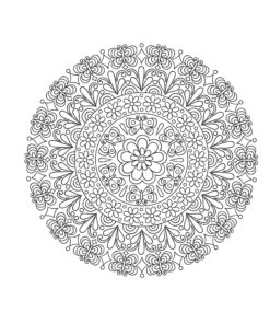 Colorful Creations Butterfly Mandalas: Coloring Book Pages Designed to Inspire Creativity! (Design Originals) 32 Gorgeous Designs & Tips from Jess Volinski, Artist of the Notebook Doodles Series Paperback, Coloring Book 24 91KlICrLOZL