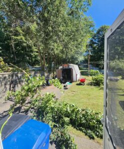 BLACK+DECKER 20V MAX Chainsaw Kit, Cordless, 10 inch, Tool-Free Chain Tensioning, Oil Lubrication System, Battery and Charger Included (LCS1020) 20V Chainsaw Kit 36 91KmAJPqR4L