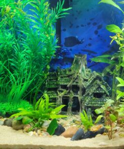 Carib Sea ACS05820 Super Natural Moonlight Sand for Aquarium, 5-Pound 5 lb 18 91LFiKqy1L