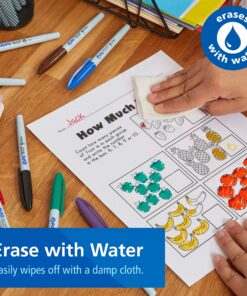 EXPO Vis-a-Vis Wet Erase Markers, Fine Point, Assorted Colors, 8 Count 8 Count (Pack of 1) 24 91LLnbaUqbL