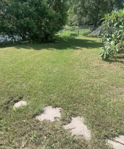 American Lawn Mower Company 1204-14 14-Inch 4-Blade Push Reel Lawn Mower, Red 14-Inch, 4-Blade 47 91LXM3iAwiL