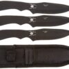 BladesUSA Perfect Point Throwing Knives – Set of 3 – Black Stainless Steel Blades and Handles w/ Spider Design, Nylon Sheath, Full Tang Construction, Well Balanced, Throwing Sport Knives – RC-1793B 13 91Ld7TAW1IL
