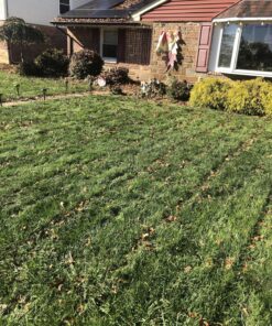 Scotts Turf Builder Weed & Feed3, Weed Killer Plus Lawn Fertilizer, Controls Dandelion and Clover, 5,000 sq. ft., 14.29 lbs. 5,000 sq. ft. Weed and Feed 44 91LnIo dUL