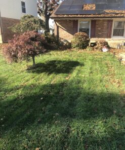 Scotts Turf Builder Weed & Feed3, Weed Killer Plus Lawn Fertilizer, Controls Dandelion and Clover, 5,000 sq. ft., 14.29 lbs. 5,000 sq. ft. Weed and Feed 45 91Lt9ojtcML