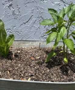 FoxFarm FX14047 2-Cubic Feet FoxFarm Happy Frog Potting Soil 2 cubic feet 23 91LuhFCEajL