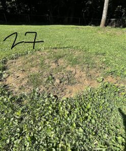 Scotts EZ Seed Patch and Repair Sun and Shade for Grass: Covers up to 225 sq. ft., 10 lb. 10 lb. 1 Pack 53 91M NfxCeML