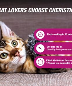 Cheristin for Cats Topical Flea Prevention – Starts Killing Fleas in 30 Minutes, 1 Dose 22 91M xqMl1gL