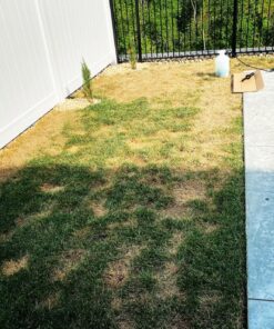 Lawnlift Ultra Concentrated (Green) Grass Paint 8oz. = 2.5 Quarts of Product. 21 91M6O05HEDL