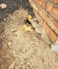 Tomcat All Weather Bait Chunx, 4 Lb 19 91MBT6N5aQL