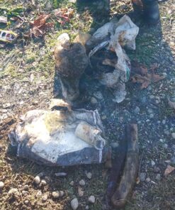 NATIONAL GEOGRAPHIC PRO Series Metal Detector - Ultimate Treasure Hunter with Pinpointer, Large Waterproof 10" Coil - Lightweight and Collapsible for Easy Travel (Amazon Exclusive) 37 91MHJZQtWBL