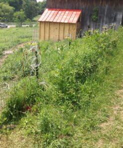 Grass Gator 4600 Weed II Heavy Duty Replacement String Trimmer Head 8 91MVwGmGyPL